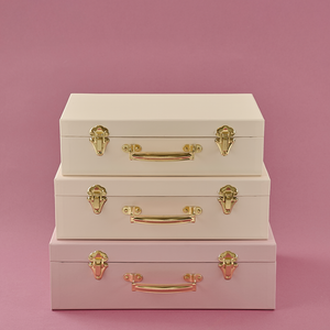 Storage suitcase