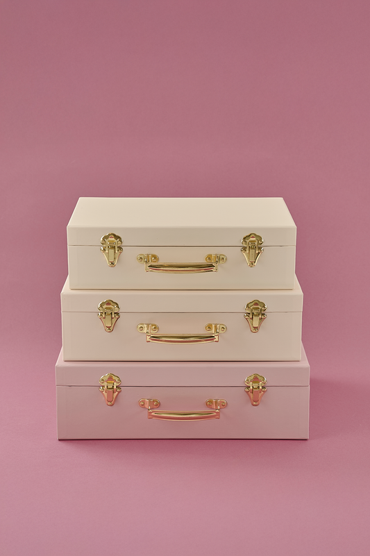 Storage suitcase