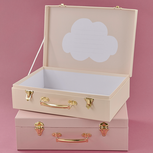 Storage suitcase