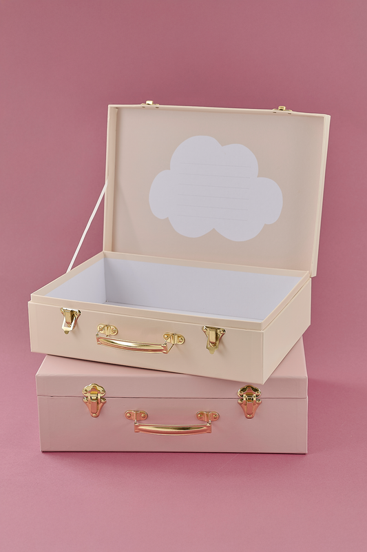 Storage suitcase