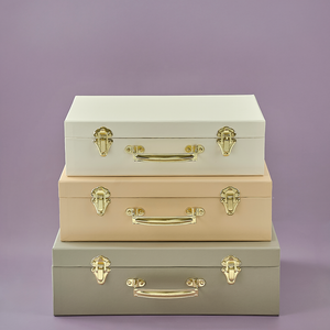 Storage suitcase