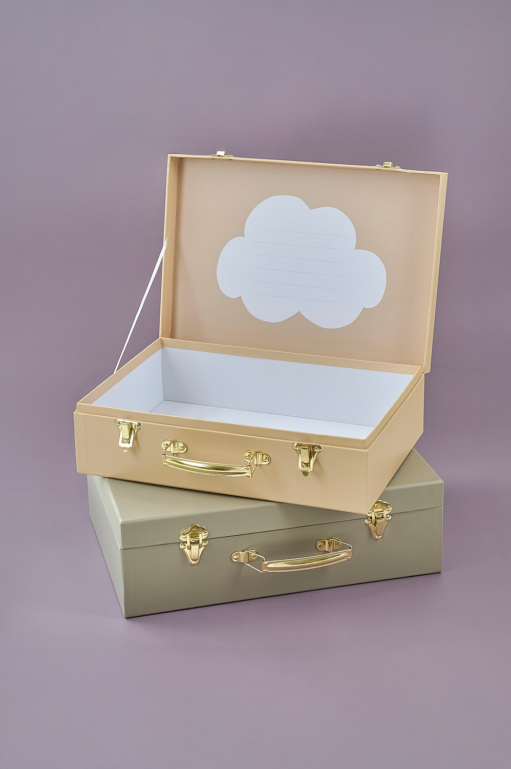 Storage suitcase