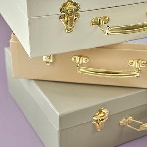 Storage suitcase