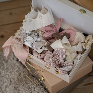 Storage suitcase