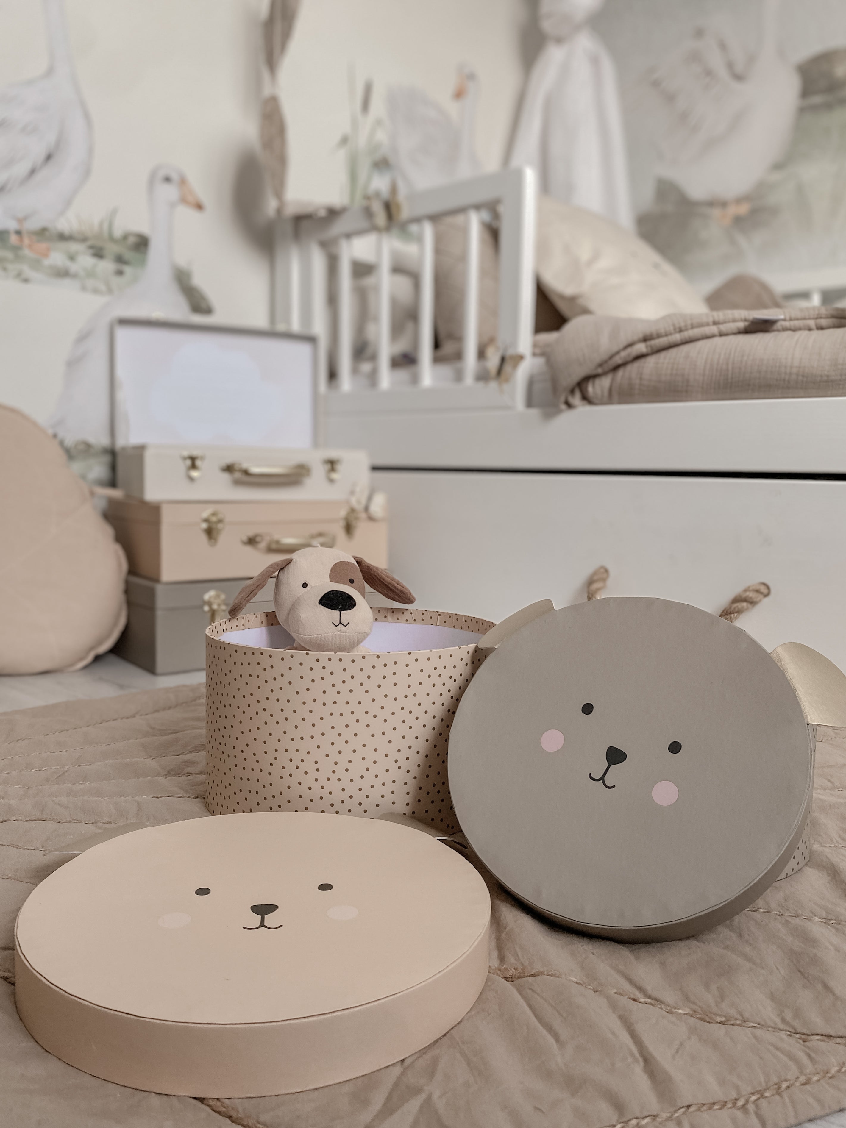 Storage box Teddy
