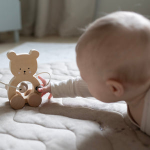 Abacus Teddy nature