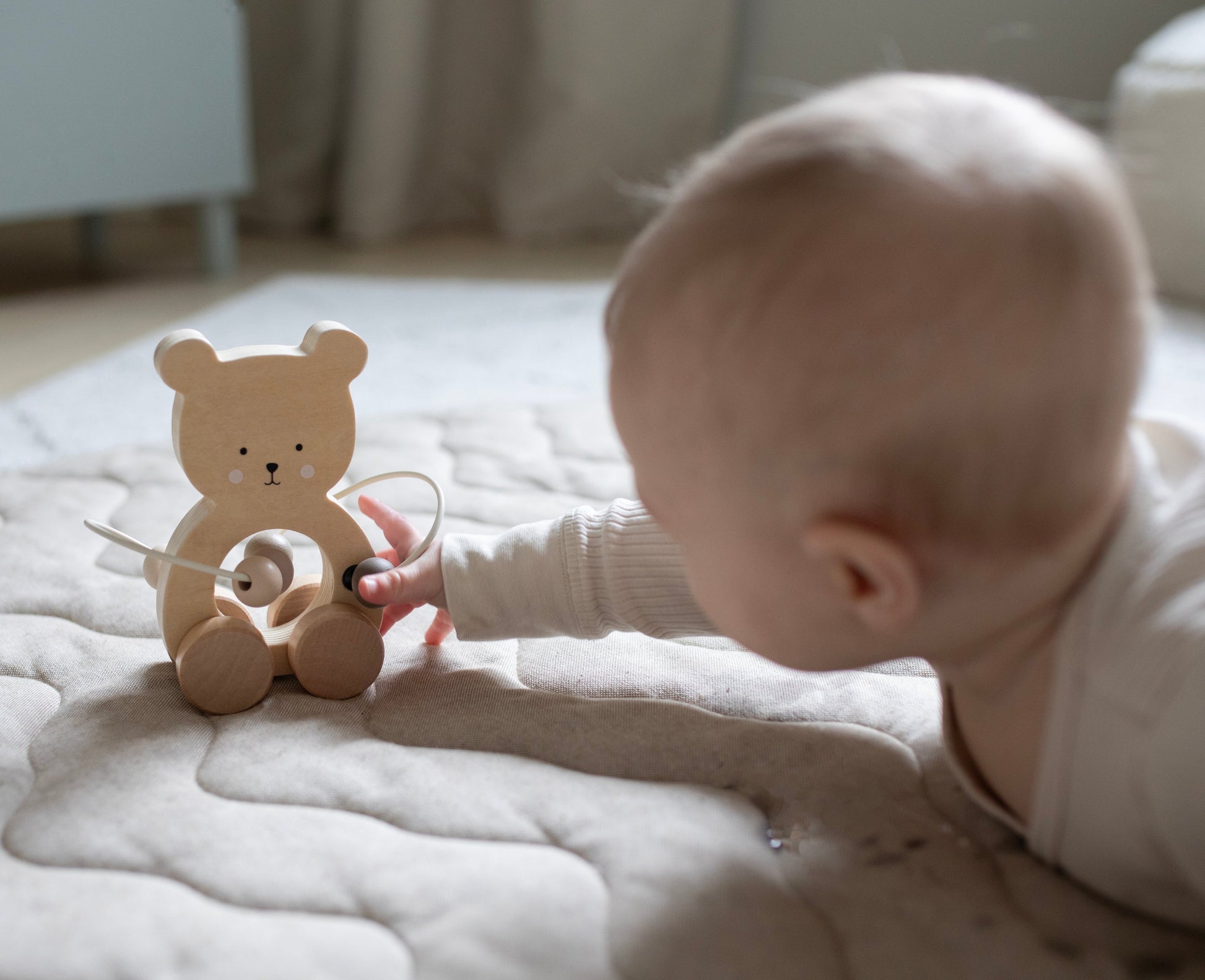 Abacus Teddy nature