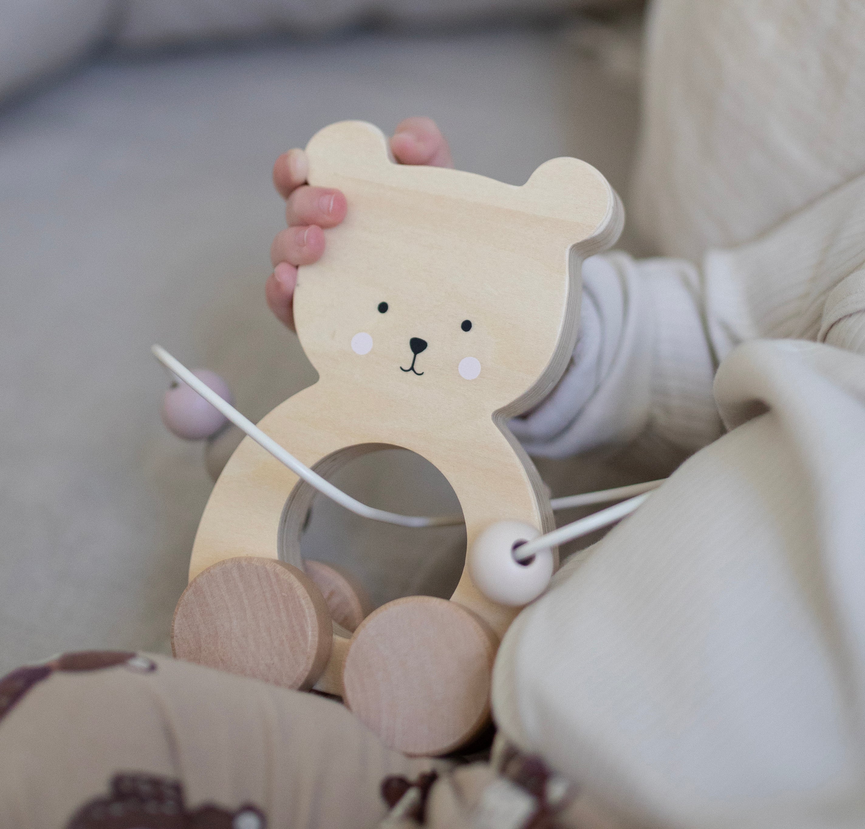 Abacus Teddy nature