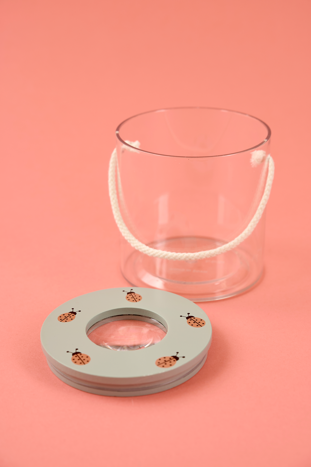 Insect jar