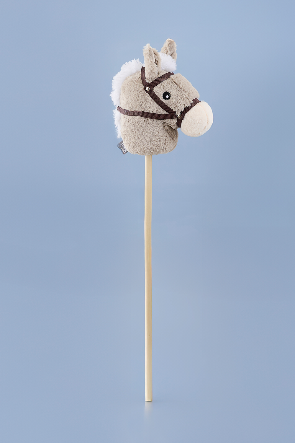 Hobby horse