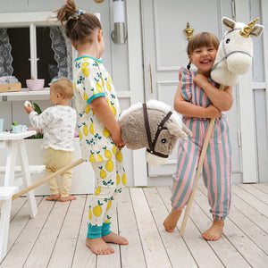 Hobby horse