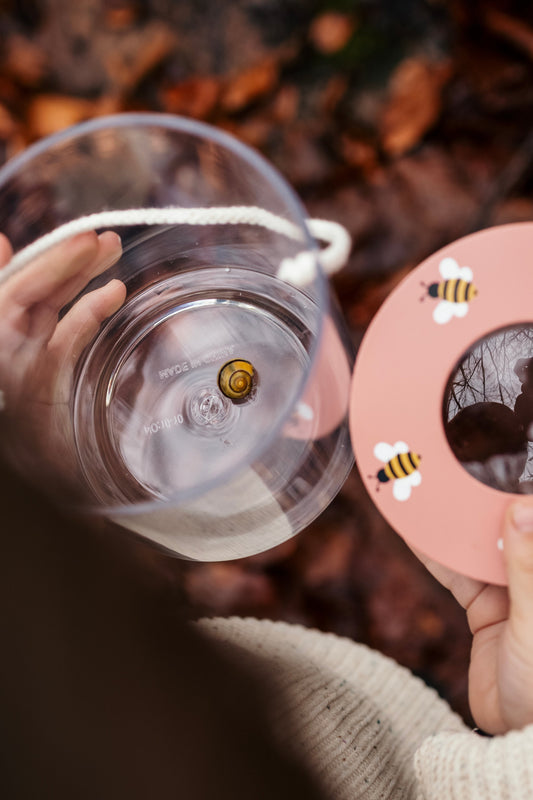 Insect jar