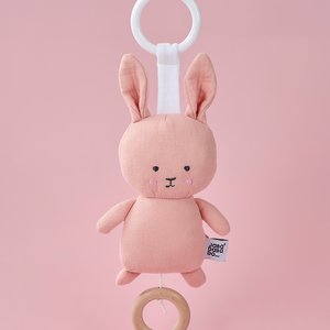 Musical Bunny