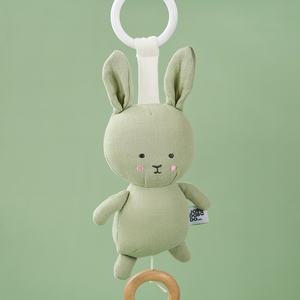 Musical Bunny
