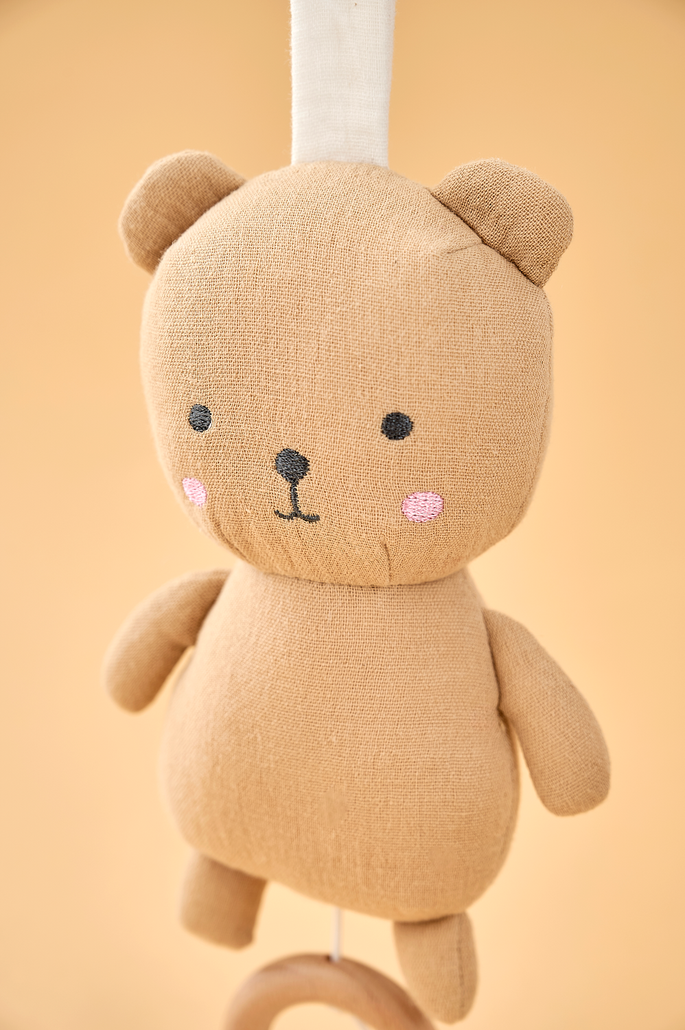 Musical Teddy