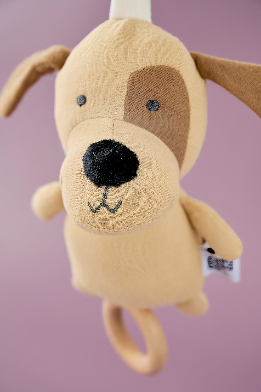 Musical Puppy