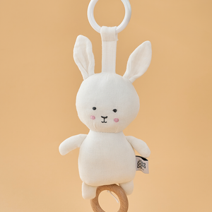 Musical Bunny