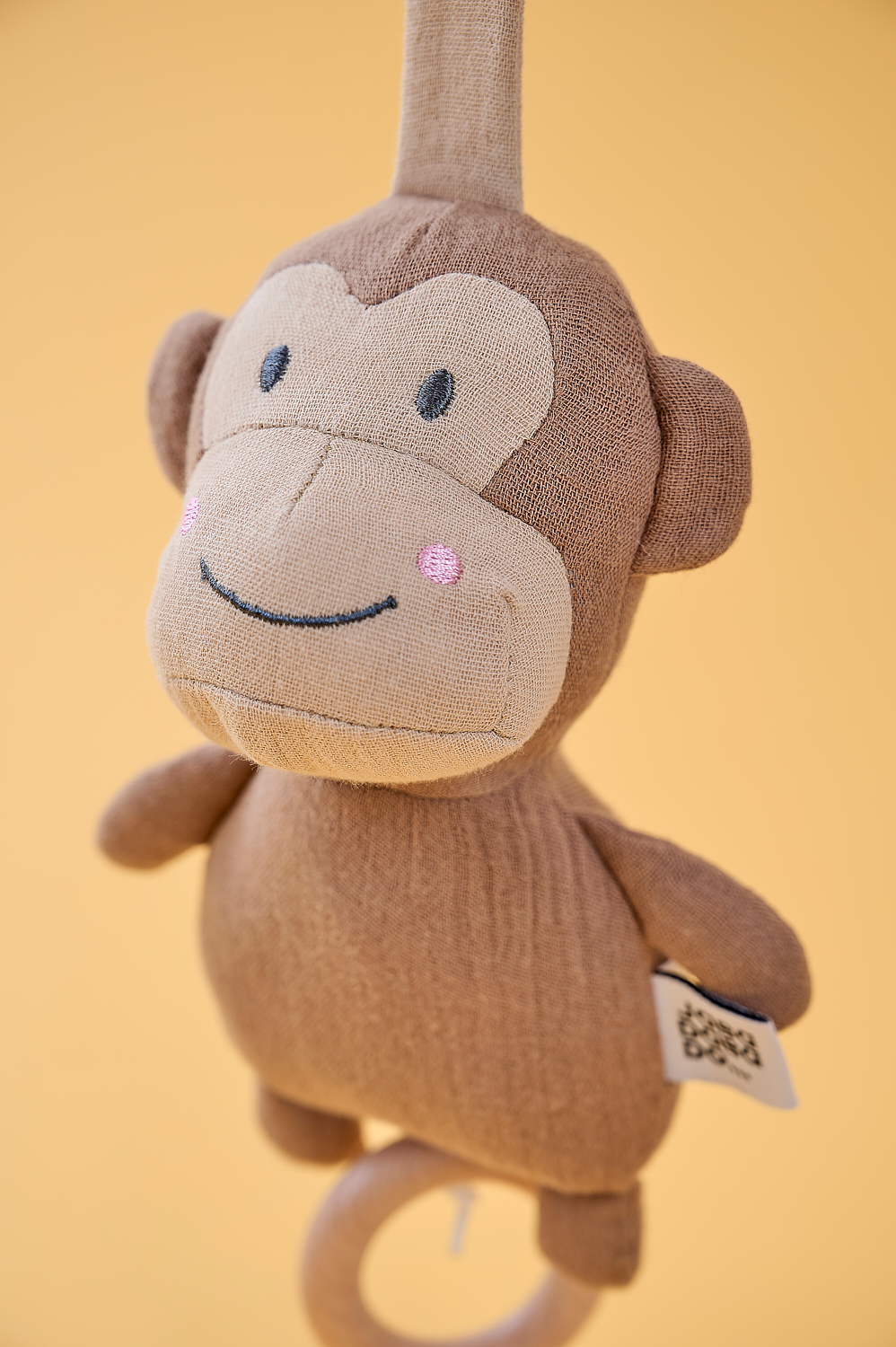 Muscial Monkey