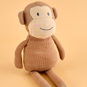 Buddy Monkey & blanket