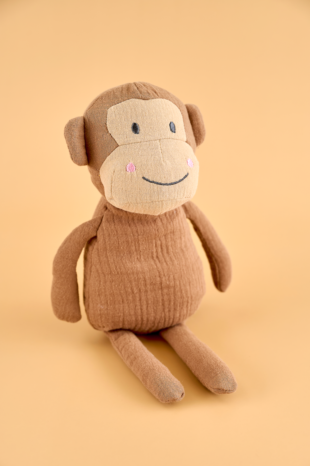 Buddy Monkey & blanket