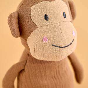 Buddy Monkey & blanket
