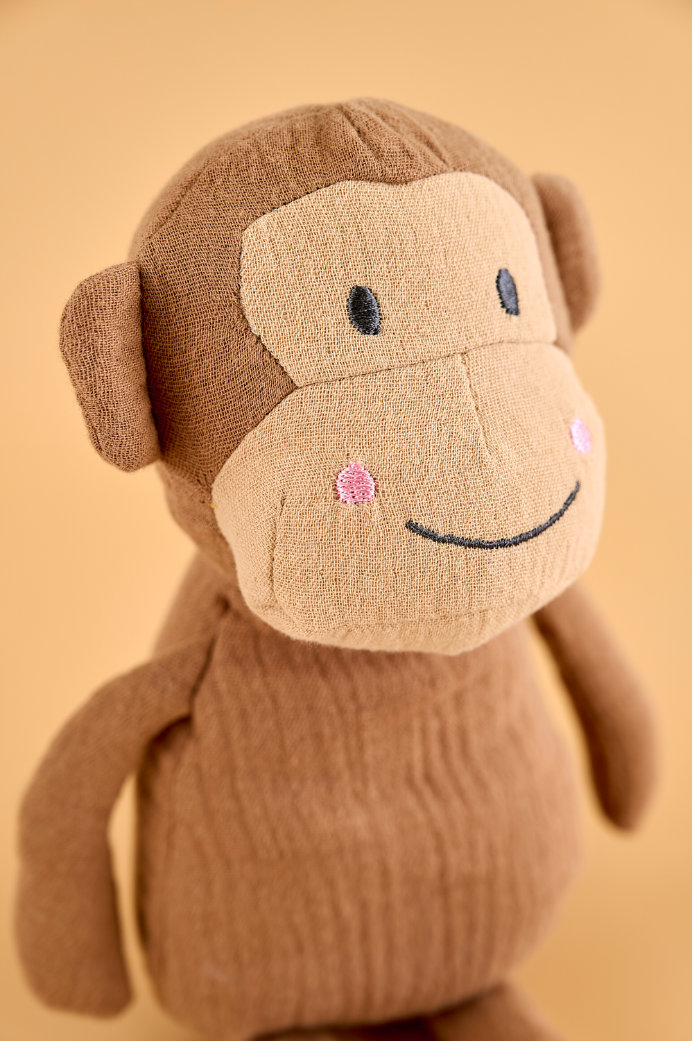 Buddy Monkey & blanket
