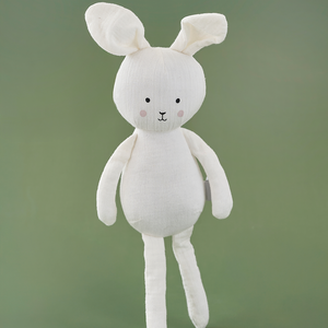 Gift box Buddy Bunny