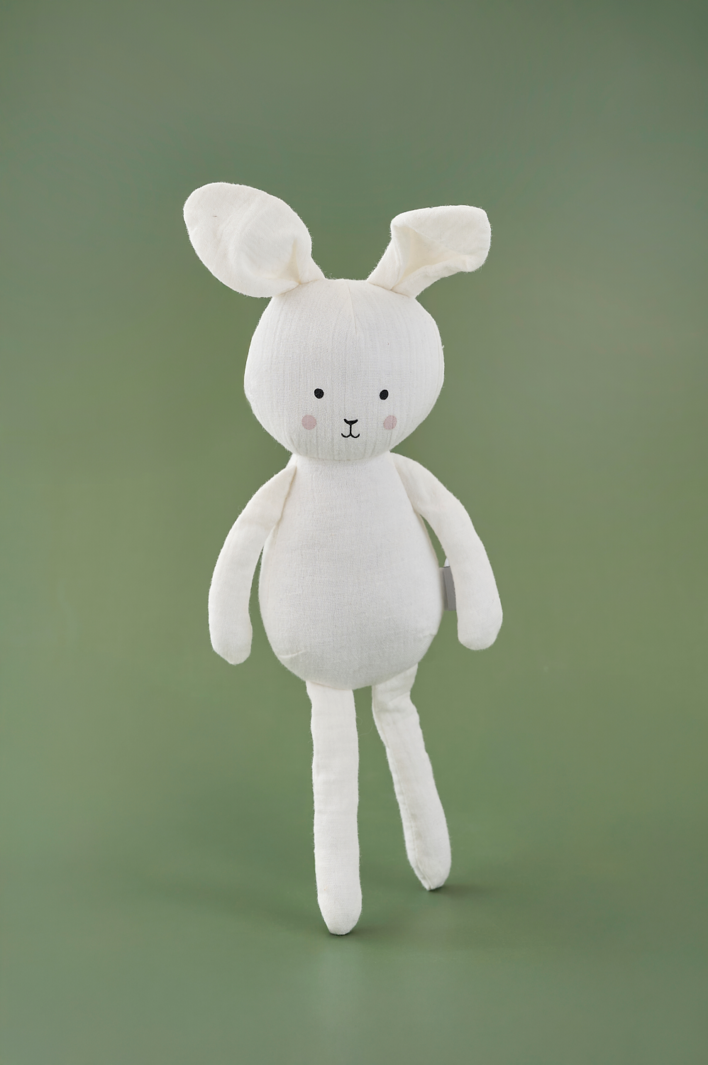 Gift box Buddy Bunny