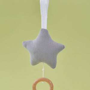 Babygym toys penguin