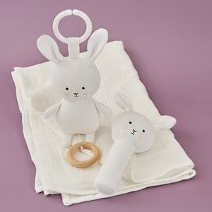 Baby gift Bunny blanket