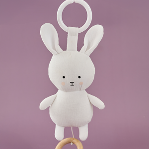 Baby gift Bunny blanket