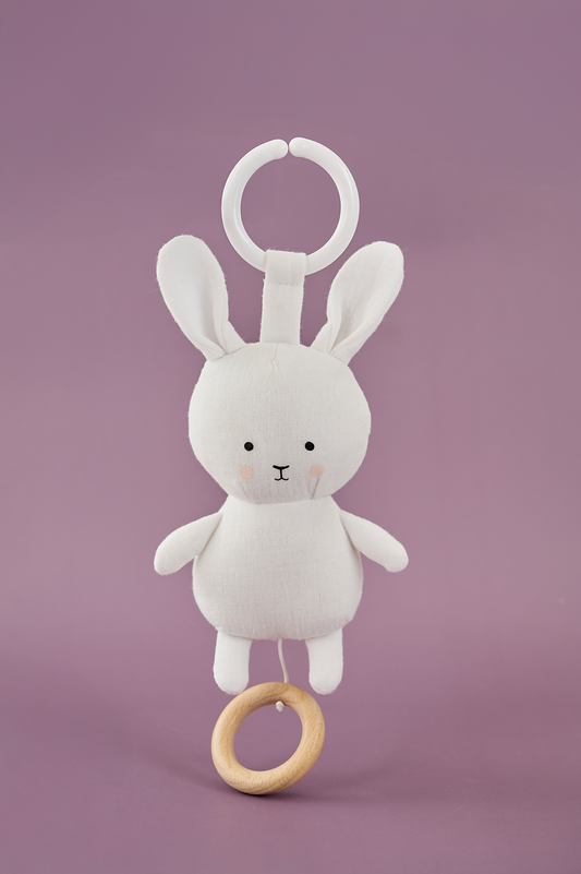 Baby gift Bunny blanket