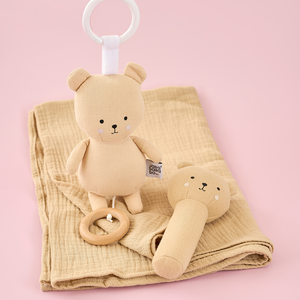Baby gift Teddy blanket