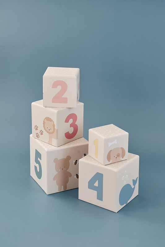 Play and Learn Box 12-18 months