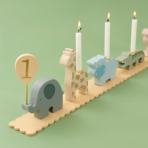 Birthday train safari