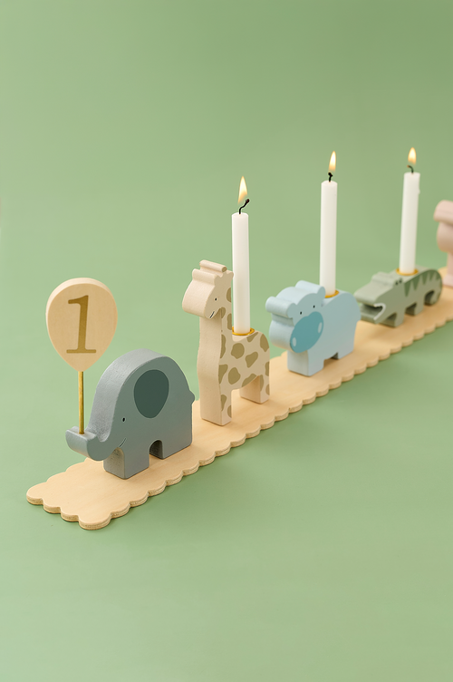 Birthday train safari