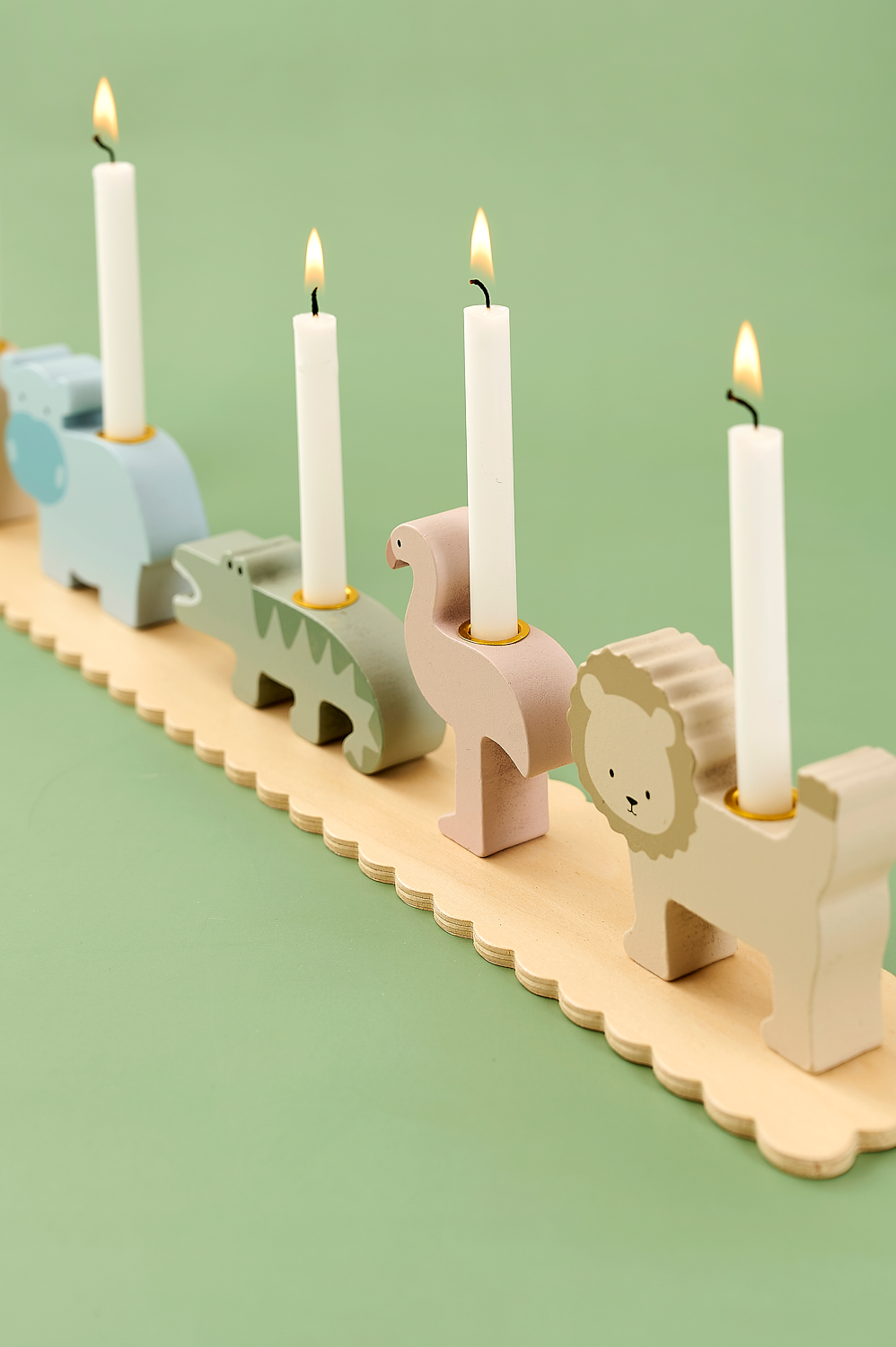 Birthday train safari